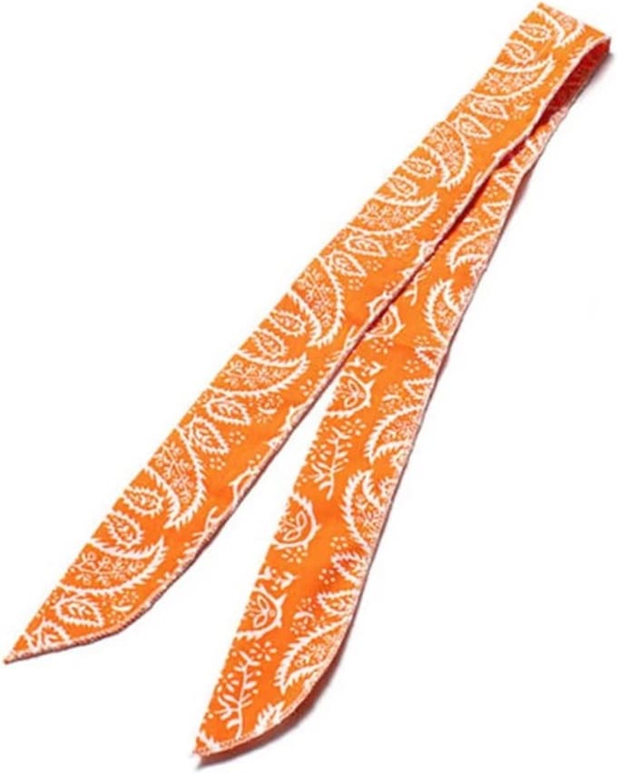 Go Go Gadget - Sjaal - Bandana - Hoofdband - Hond - Oranje