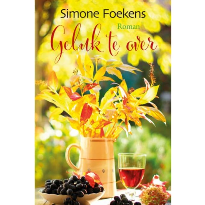 Geluk Te Over - Romanserie - Simone Foekens