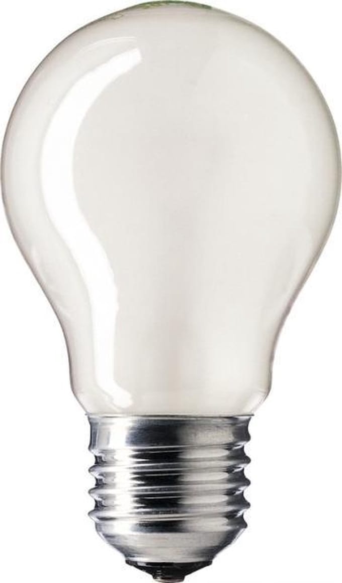 25W Philips standaard gloeilamp mat E27