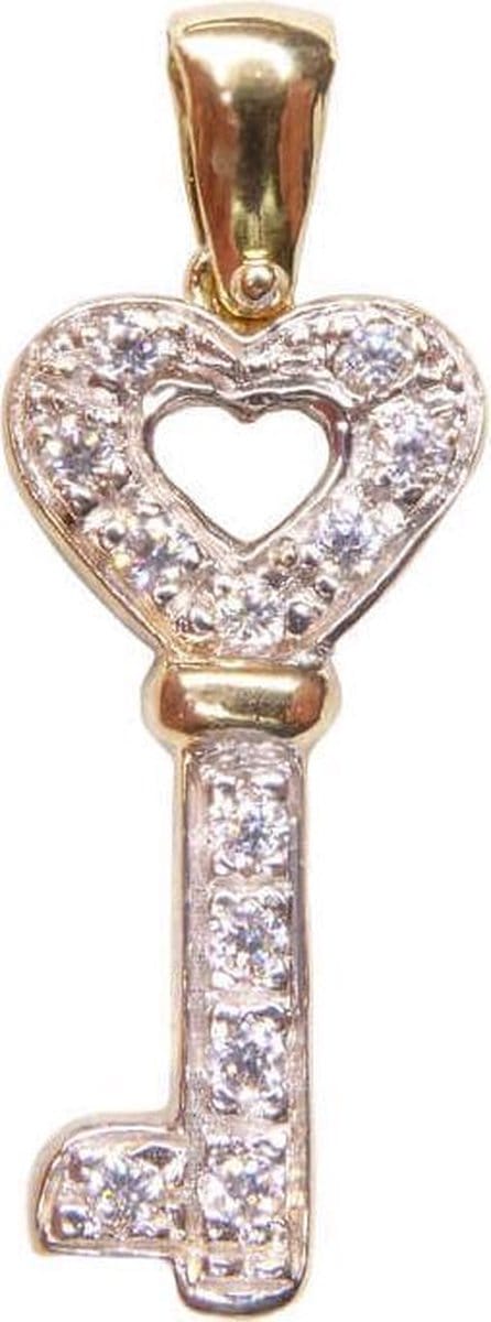 Bicolor gouden sleutel hanger
