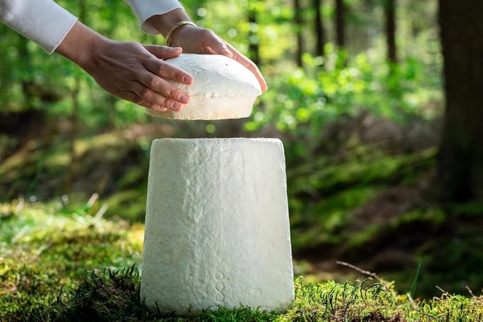 Paddenstoel Urn - Biologisch Afbreekbaar - Natuurlijke Herinnering - Voedt de Aarde - 4 Liter Volume - Gebroken Wit