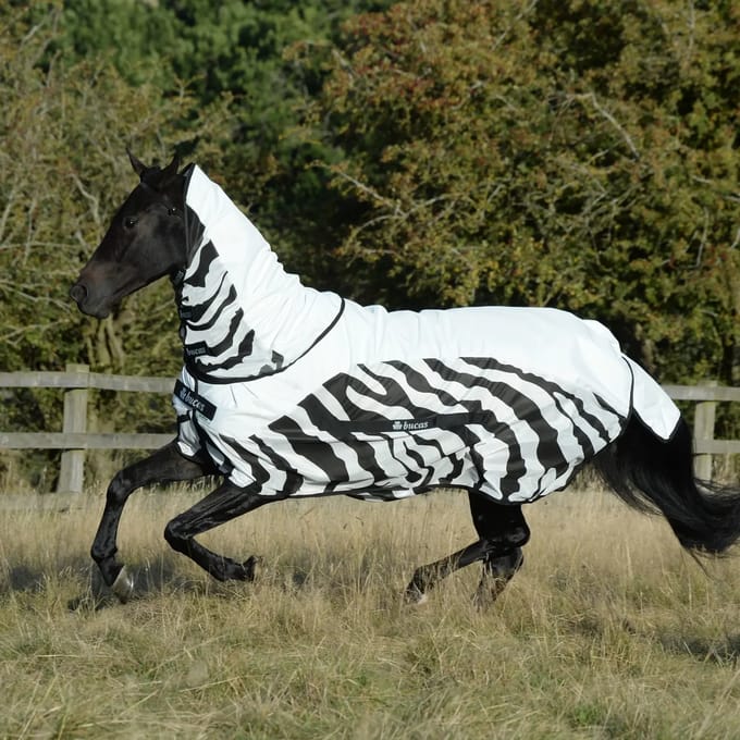Waterdichte paardendeken Bucas Rain Zebra
