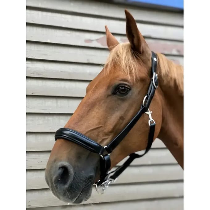 Halster voor paarden Norton Pro Anatomique