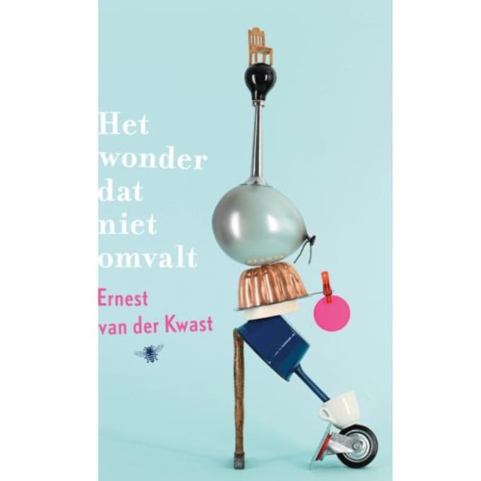 Het Wonder Dat Niet Omvalt - Ernest van der Kwast