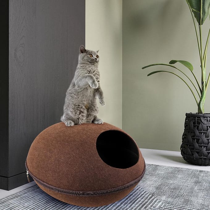 Kattenhuisdiergrotbed voor Katten Kittens Huisdieren grey