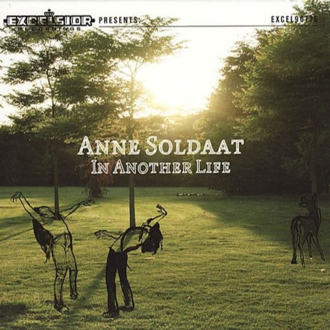 In Another Life - Anne Soldaat