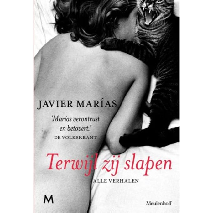 Terwijl Zij Slapen - Javier Marías