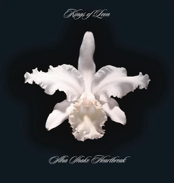 Aha Shake Heartbreak - Kings Of Leon