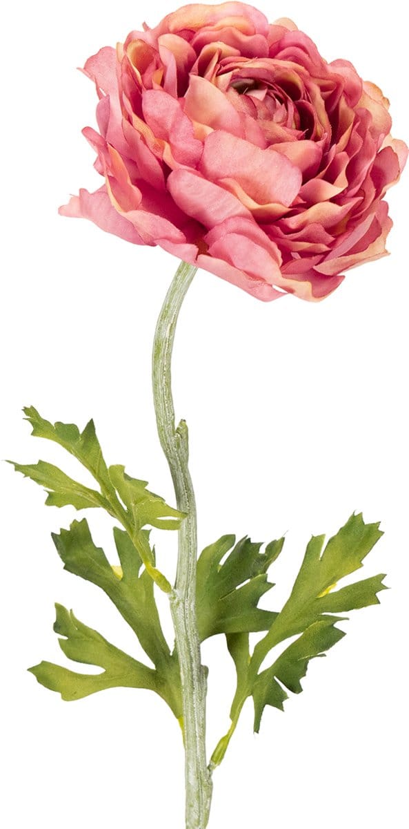 Kunstmatige ranunculus als boeket voor een elegante en onderhoudsvrien