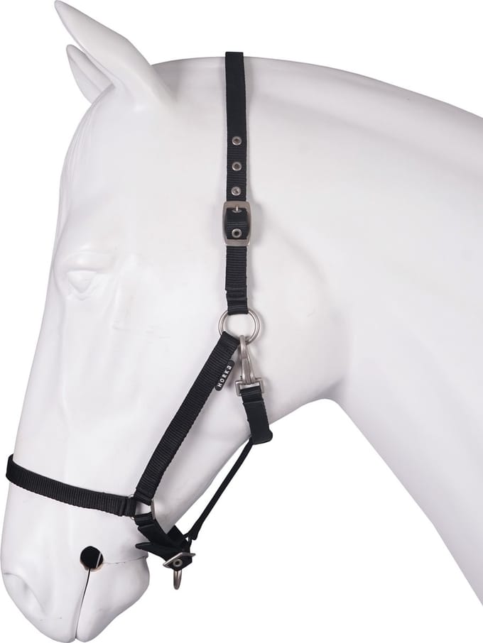Halsband voor paard basis HORKA