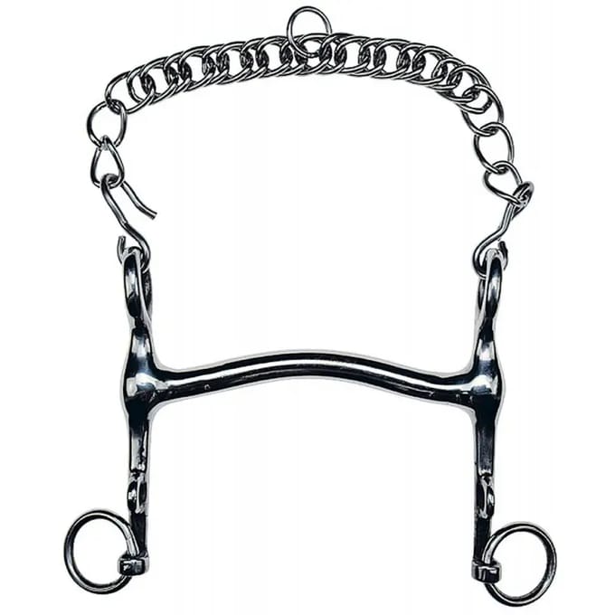 Mors van een portaal voor paard voor paard Feeling