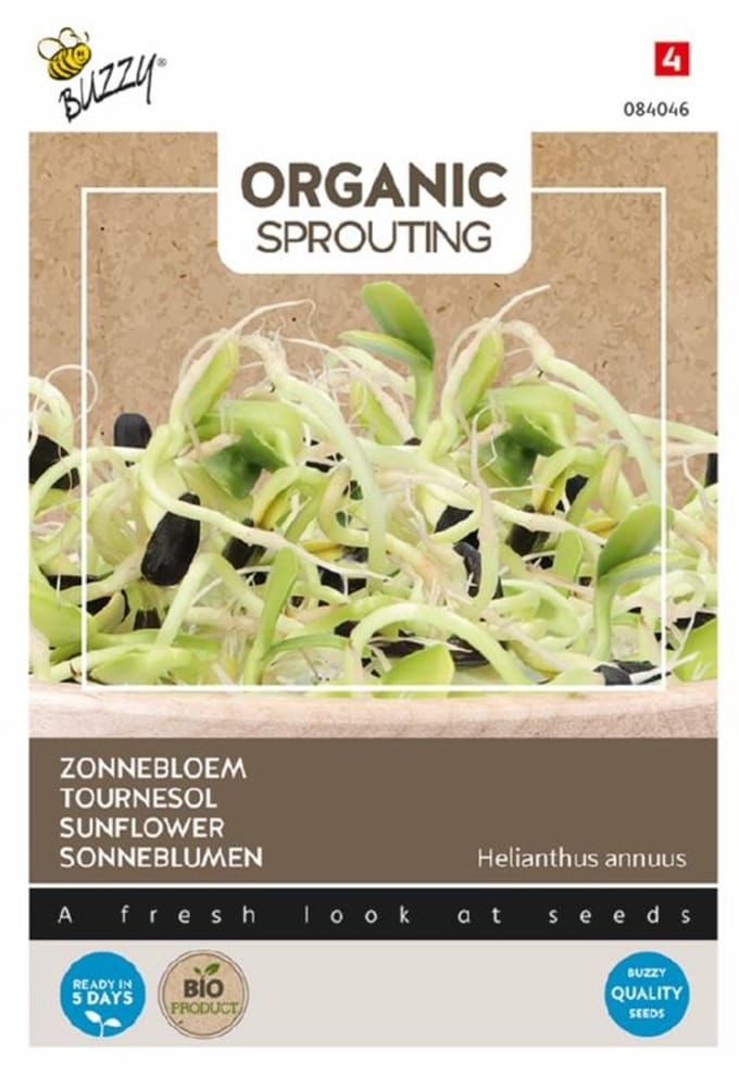 Buzzy seeds Organic Sprouting Zonnebloem Bio