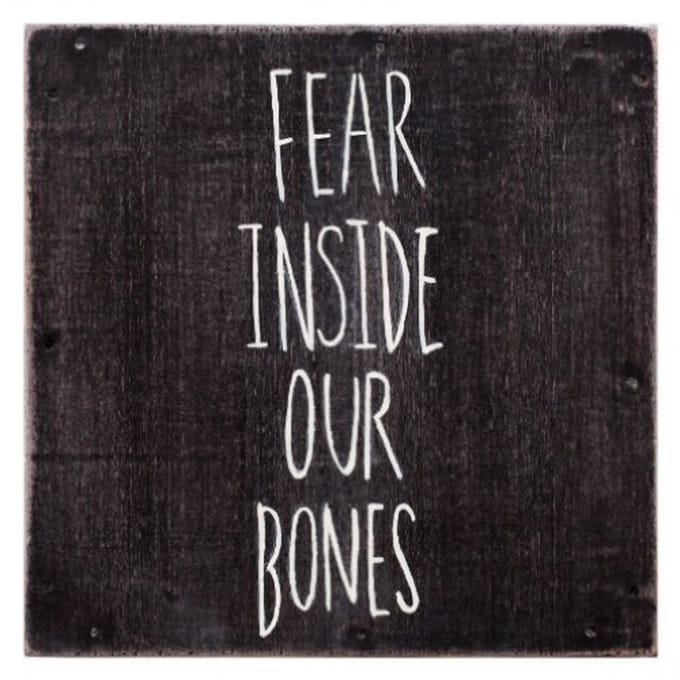 The Almost - Fear Inside Our Bones (CD)