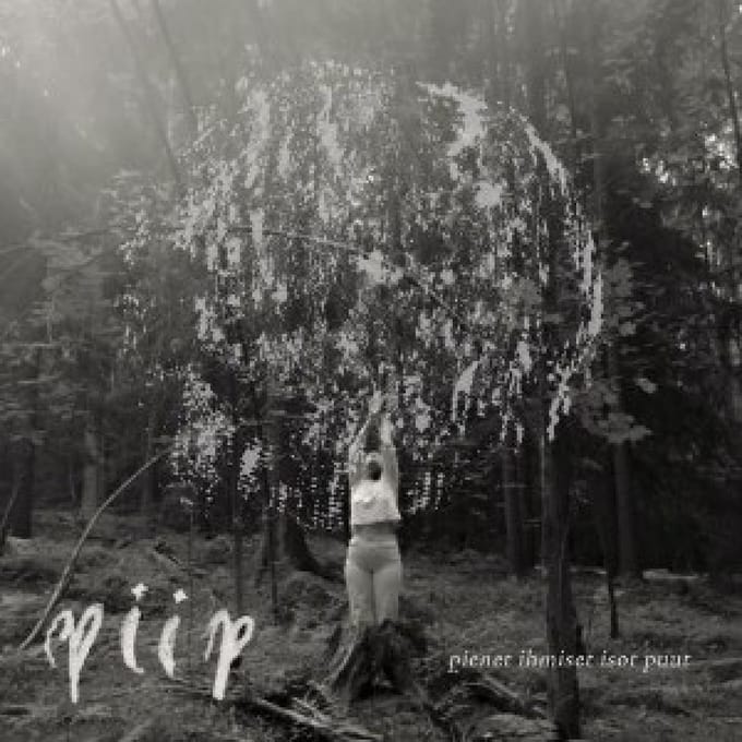 Piip - Pienet Ihmiset Isot Puut (CD)