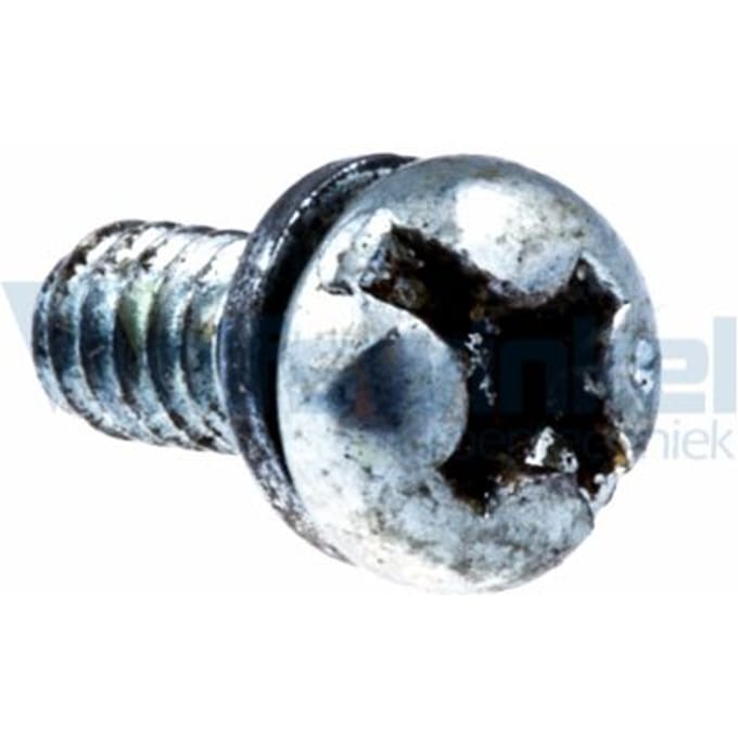 Screw