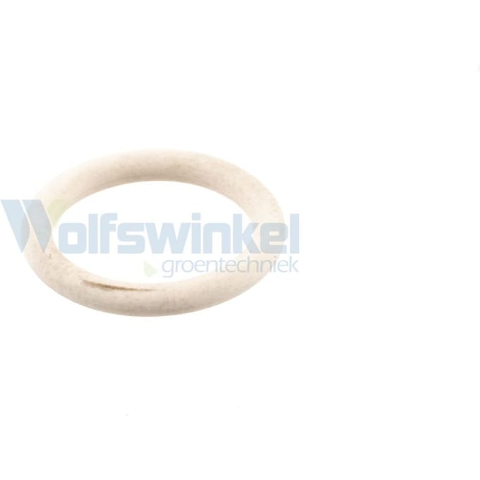 O-ring