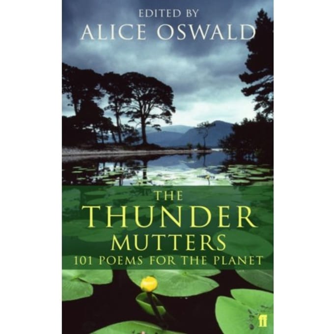 The Thunder Mutters