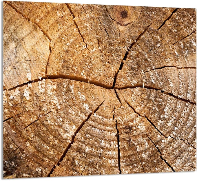 TMK ArtDeko - Glas Keukenpaneel - 65x60 cm - Hout Print
