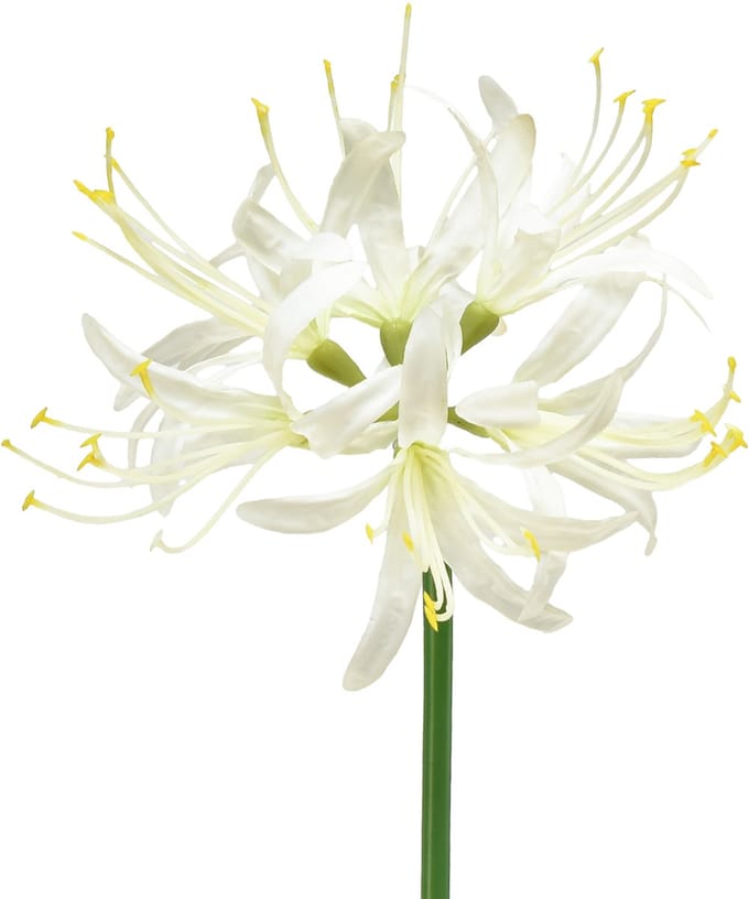 Nerine Guernsey Lelie Kunstbloem Wit Geel Ø15cm L65cm