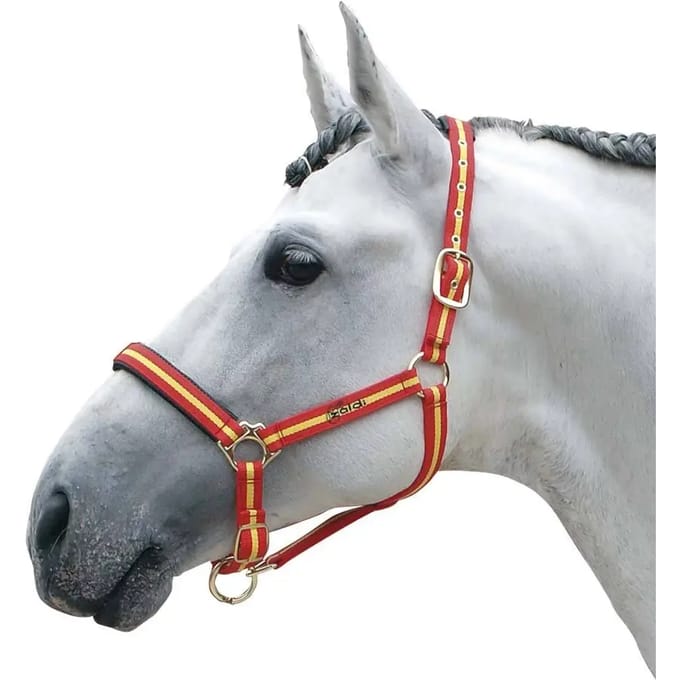 Hoofdstellen voor paarden Zaldi 4022SM