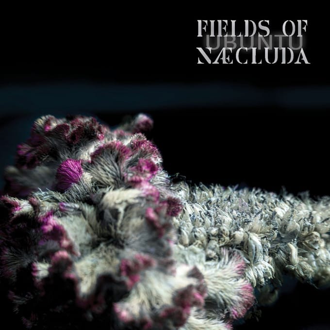 Fields Of Naecluda - Ubuntu (CD)