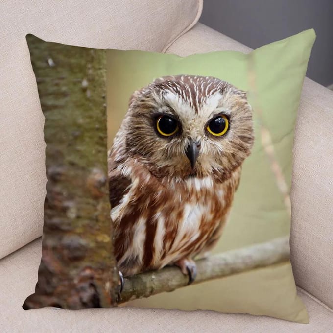 Schattig Dier Kussensloop Wilde Uil Kussenhoes Decoratief Sofa Thuis Kinderkamer 45x45cm