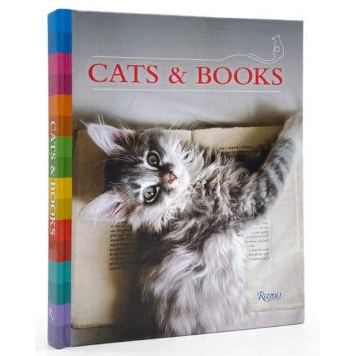 Cats And Books - Universe Universe