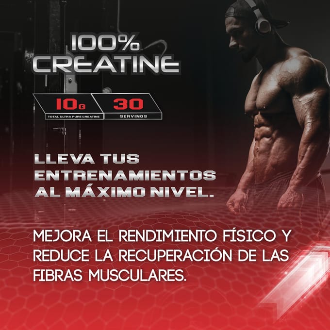 Healthy Fusion 100 % monohydrate de créatine, dose élevée | 10 g de créatine par portion | 300 g de saveur pastèque