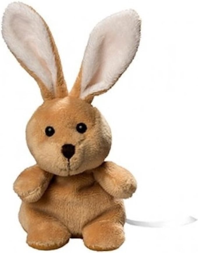 Pluche paashaas knuffel met beschrijfbaar labeltje 19 cm