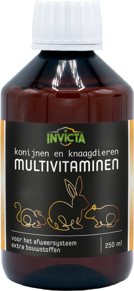 Invicta Multivitamines - Voedingssupplement - 250 ml