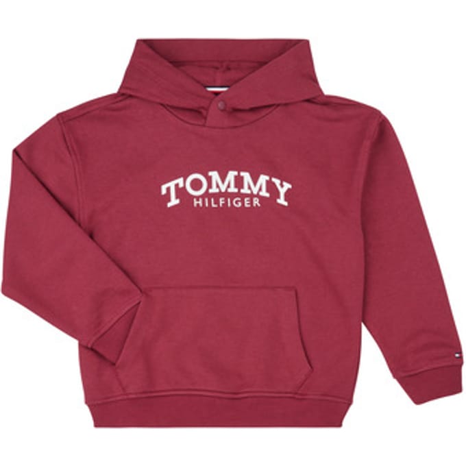 Tommy Hilfiger  Capuchon sweaters MONOTYPE PRINT HOODIE