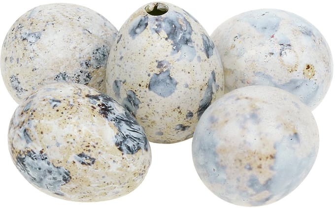 Kwarteleitjes wit gemarmerd 3,5cm - 4cm 50 st, 50 Stück