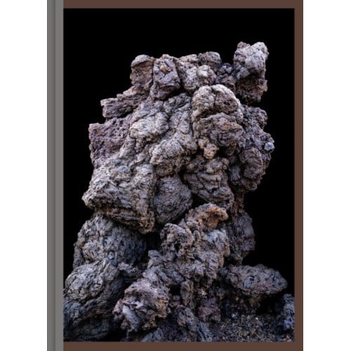 Imaginary Ecologies - Martin Tscholl