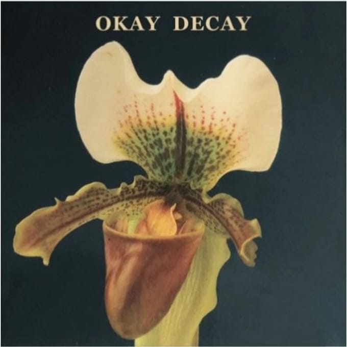 Okay Decay - Canshaker Pi