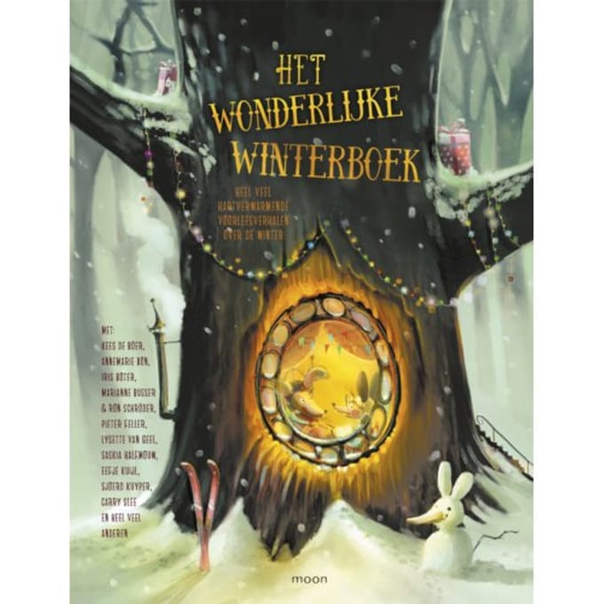 Het Wonderlijke Winterboek - Marianne Busser