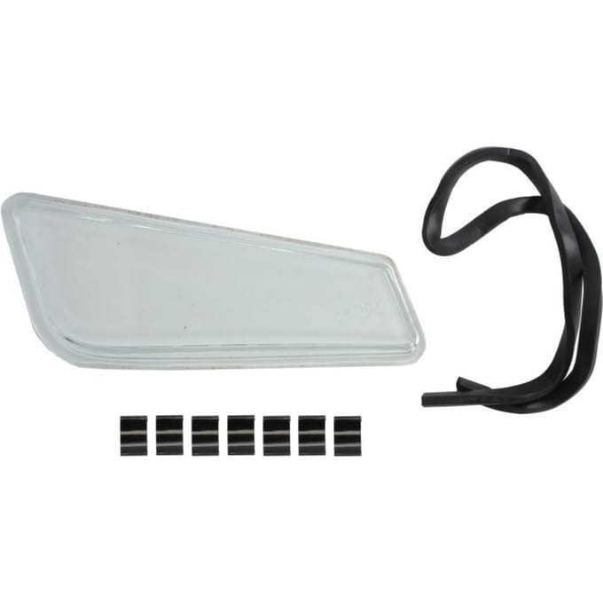 Mistlichtglas voor DT SPARE PARTS SA5A0196