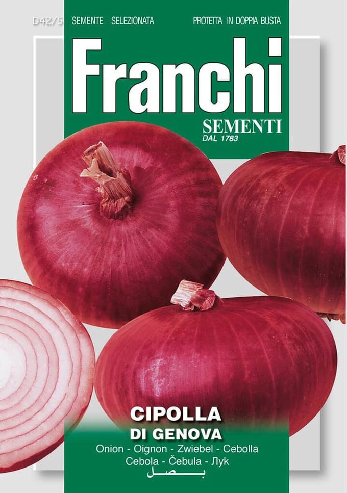 Franchi - Ui, Cipolla di genova 42/5