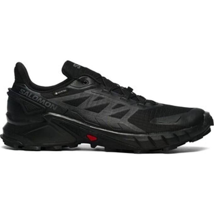 Wandelschoenen Salomon Supercross 4 Gtx