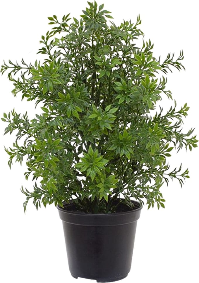 Eucalyptus kunstplant 30cm - UV bestendig in pot