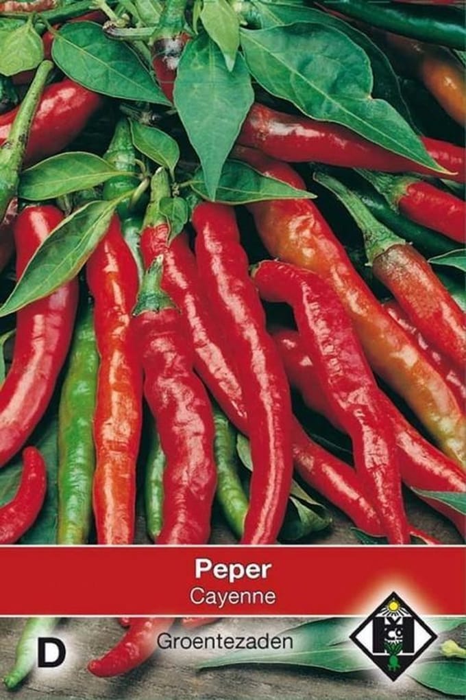 Van Hemert - Peper Cayenne (Capsicum annuum)