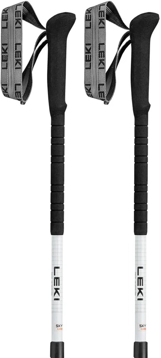 Leki Skytera Carbon Lite Stokken Zilver 100-135 cm