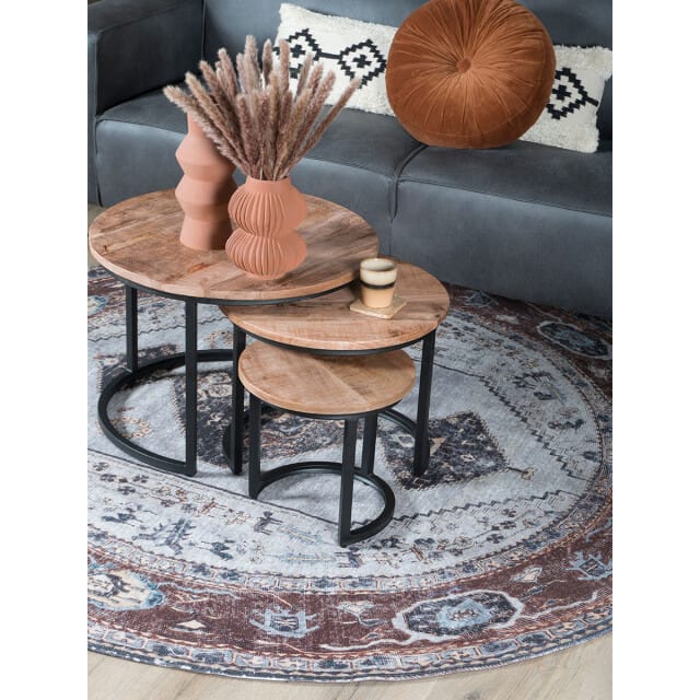 Home67 - Salontafel Set van 3 - Industriële Salontafelset Erjan - Mangohout