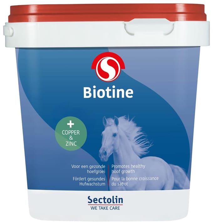Sectolin Biotine