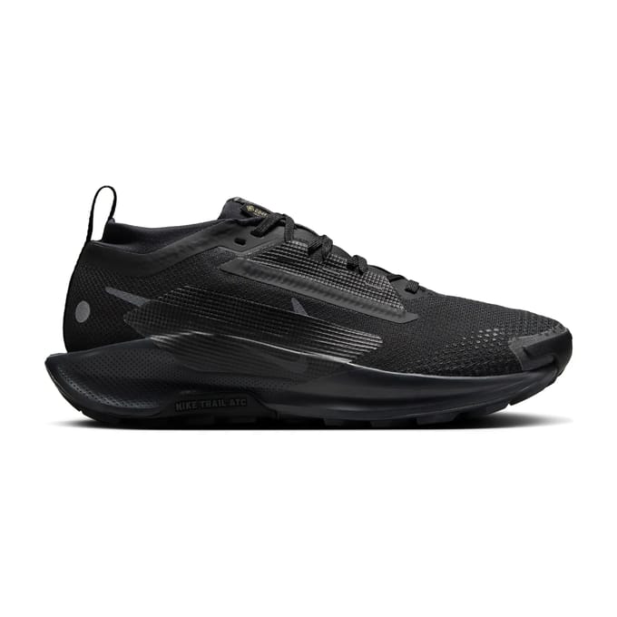 Trail Nike Chaussures de running pegasus trail 5 imperméables