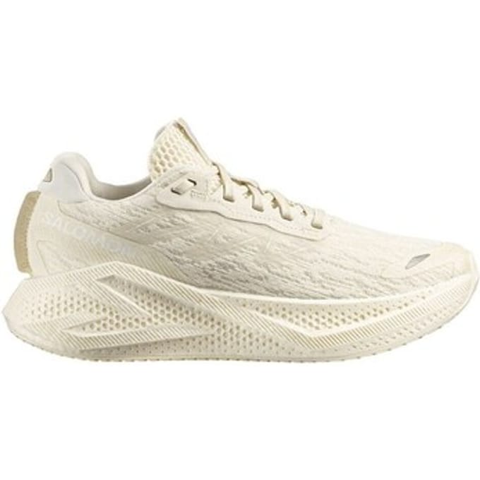 Lage Sneakers Salomon Aero Glide 4
