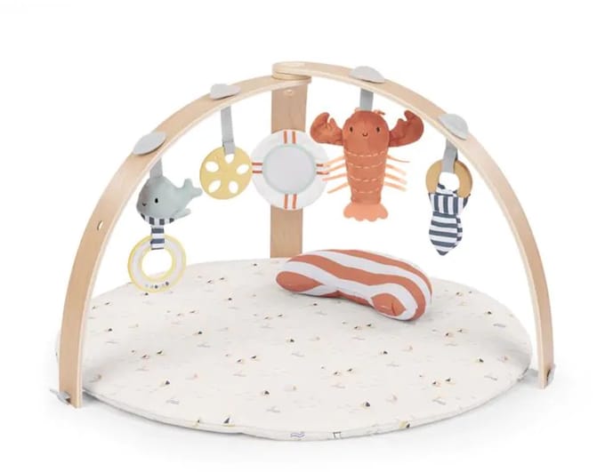 Activity gym cozy spot haven omkeerbaar - Ingenuity - vanaf 0 maanden