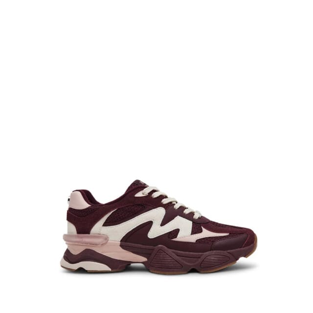 Steve Madden Speeder Sneakers - Dames - Bordeaux - Maat 41