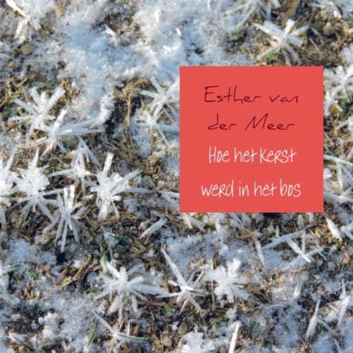 Hoe Het Kerst Werd In Het Bos - Esther van der Meer - van der Me