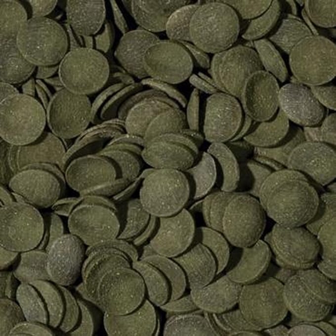 Onlineaquarium spullen Algen wafels