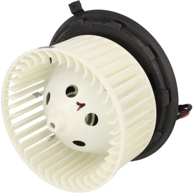 Binnenventilator DELPHI TSP0545019